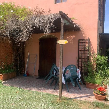 Podere Girasoli 皮昂比诺 外观 照片