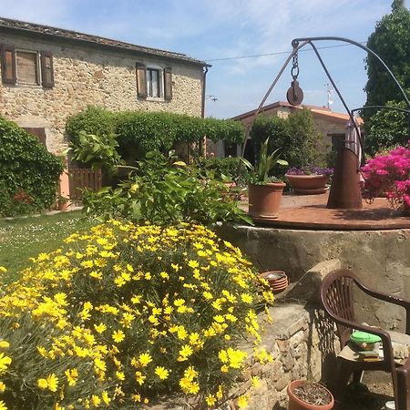 Podere Girasoli 皮昂比诺 外观 照片