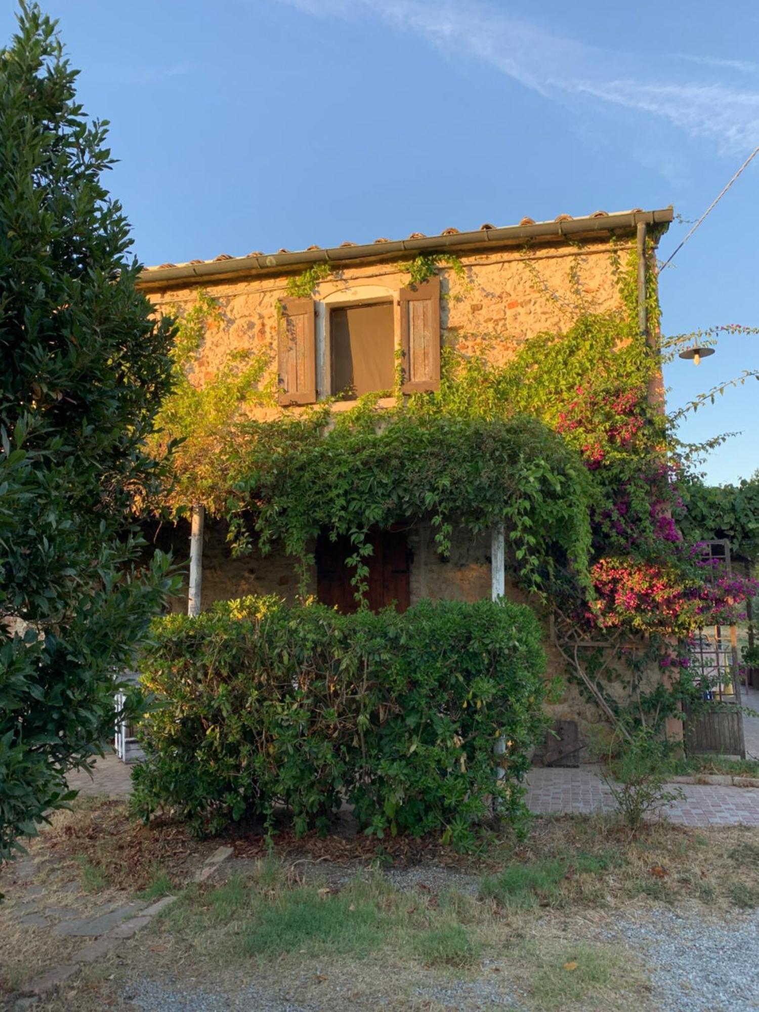 Podere Girasoli 皮昂比诺 外观 照片