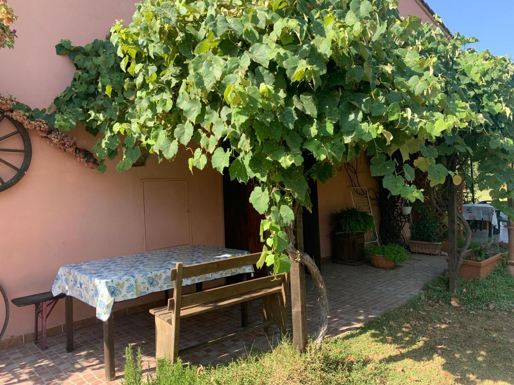 Podere Girasoli 皮昂比诺 外观 照片